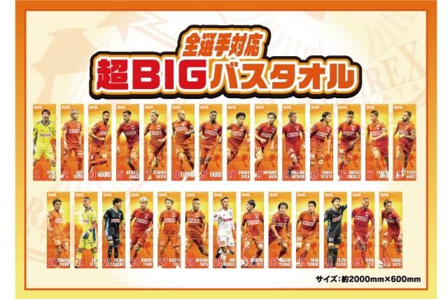 【全選手対応】衝撃サイズで大迫力の「超BIGバスタオル」！1週間限定での受注販売！
